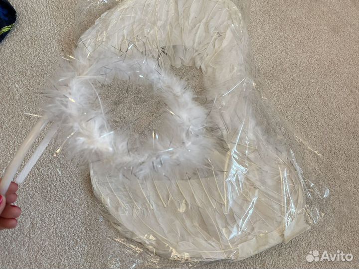 Крылья нимб