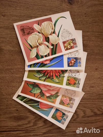 Картмаксимумы 