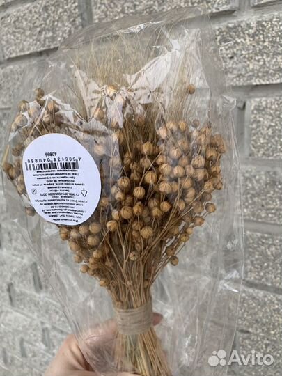 Сухоцветы. Для интерьера