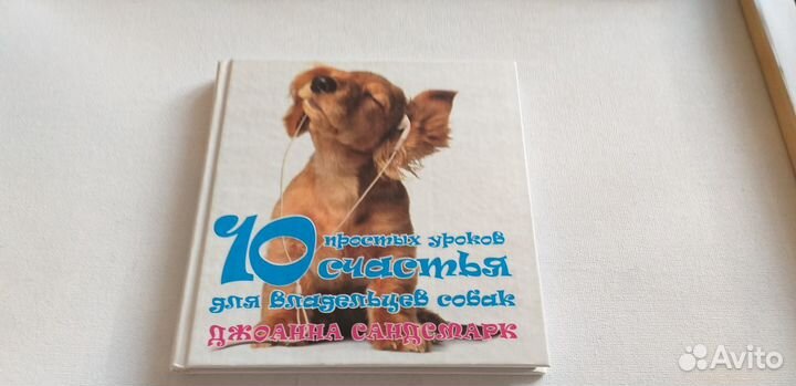 10 простых уроков счастья для владельца собак