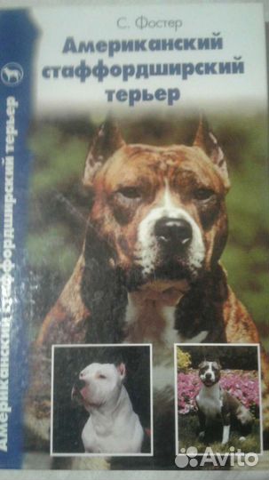 Американский стаффордширдский терьер. С. Фостер