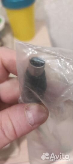 S video на тюльпан