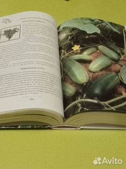 Энциклопедия садовода и огородника Ганичкиных