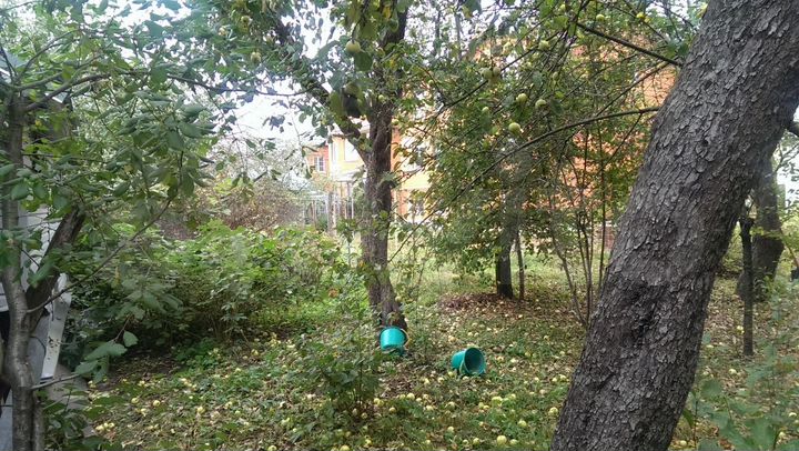 Участок 6 сот. (ИЖС)