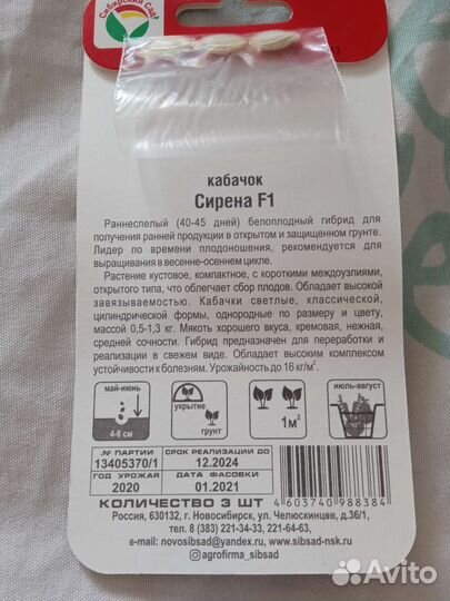 Семена кабачков, для рассады кабачков