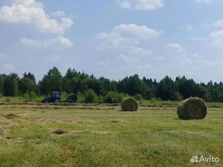 Сено в рулонах