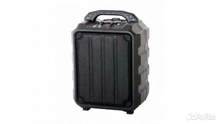 Leem PR-6 акустическая система, портативная на кол