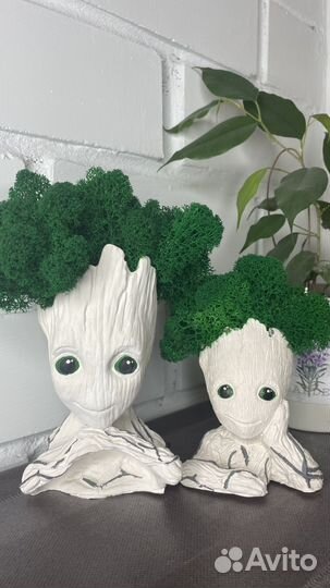 Кашпо со мхом Грут большой