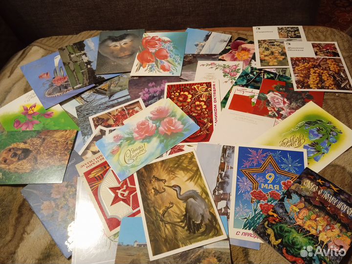 Открытки пакетом-18