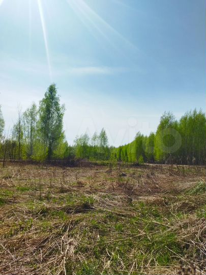 Участок 15 сот. (ИЖС)