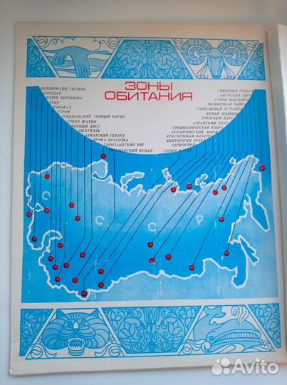 Спички,Набор Занесены в Красную книгу СССР