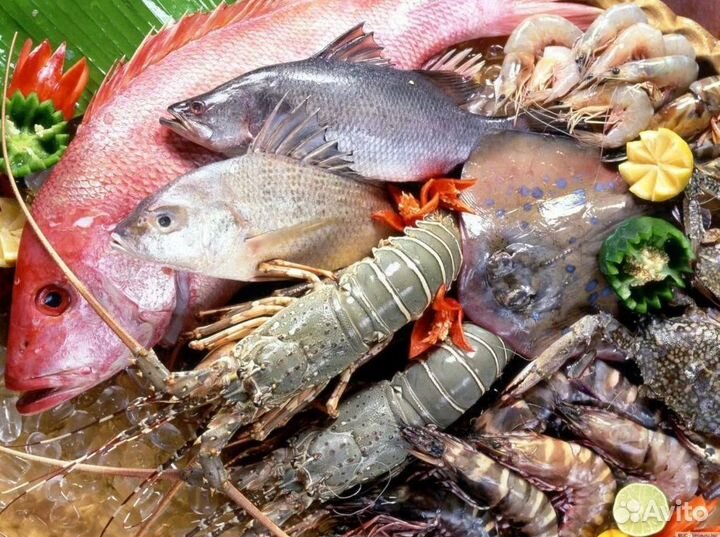 Рыбный магазин с клиентами — готовый бизнес