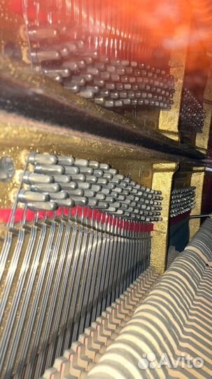 Пианино Petrof