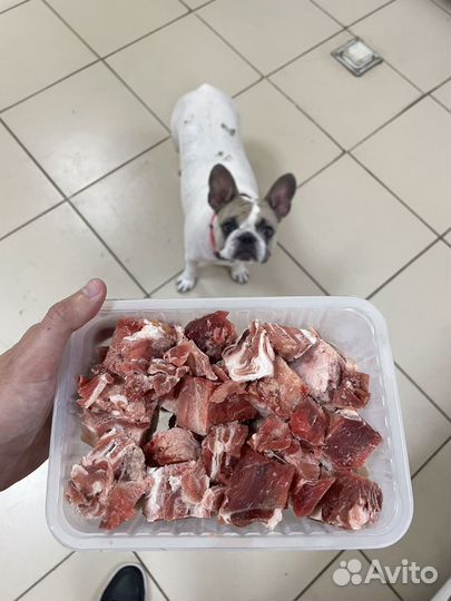 Мясо для собак
