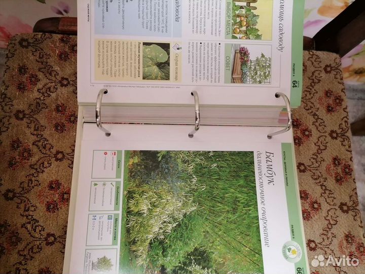 Инциклопедия для садовода, книга по категориям Всё