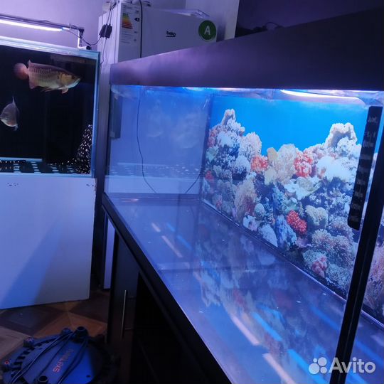 Аквариум