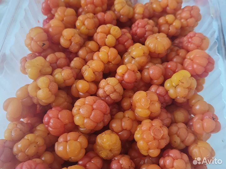 Морошка свежая