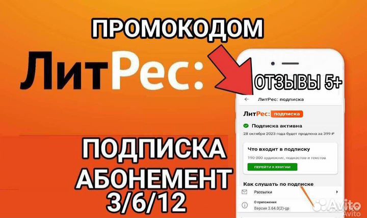 Литрес Подписка/Абонемент 12 месяцев