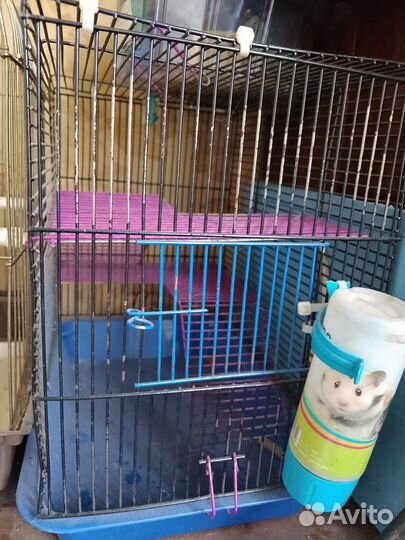 Клетка для грызунов