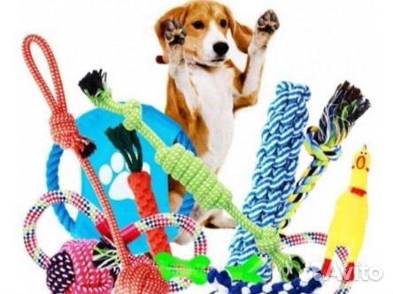 Товары для собак