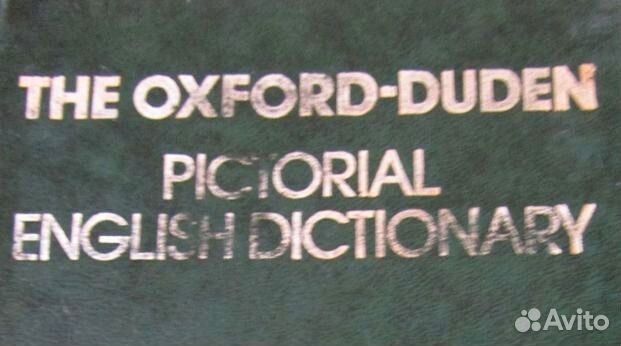 Картинный словарь современного английского языка