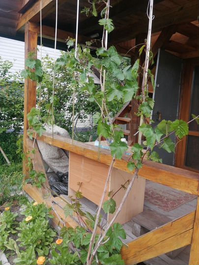 Дача 70 м² на участке 4 сот.