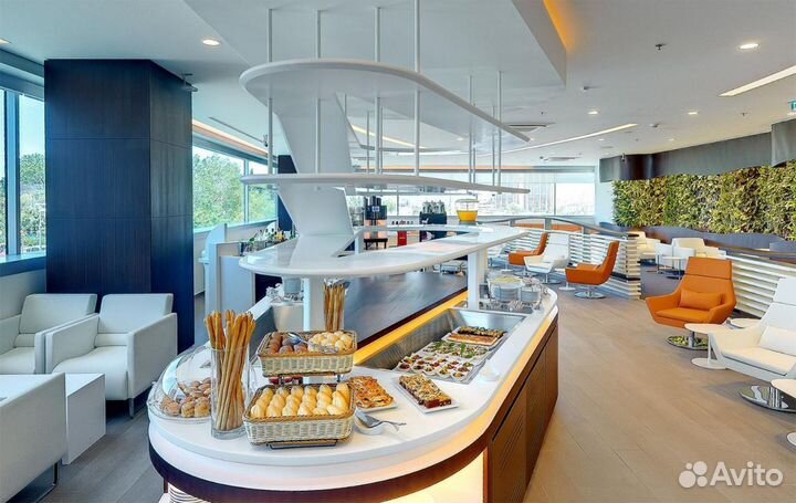 Проход в бизнес зал аэропорта