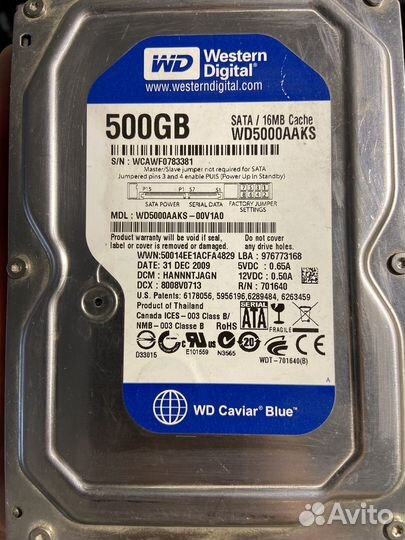 Жесткий диск wd 500gb