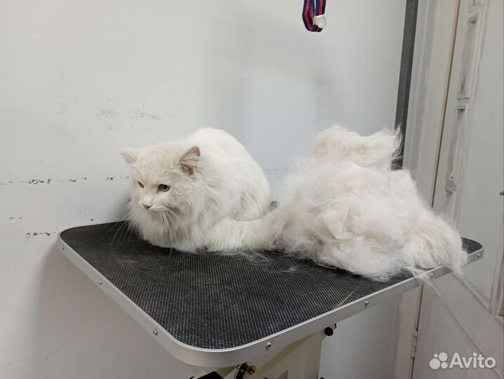 Груминг собак и кошек