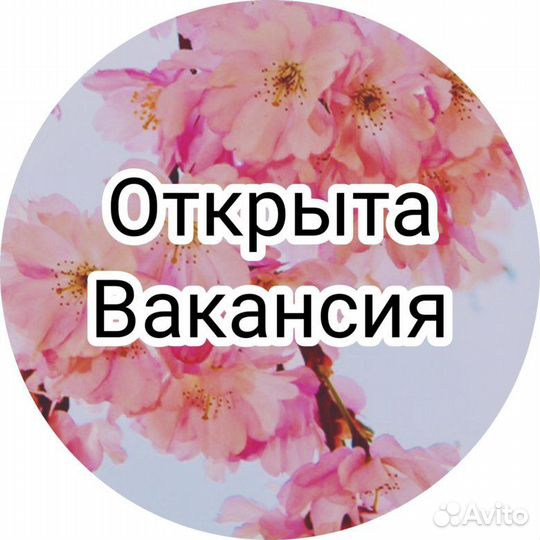 Администратор магазина одежды ТЦ На Свободном