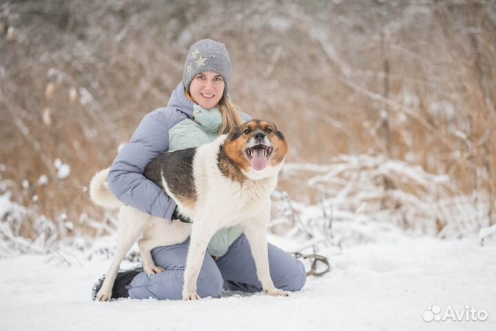 Джуль ищет дом и семью
