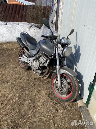 Honda CB 600 Hornet