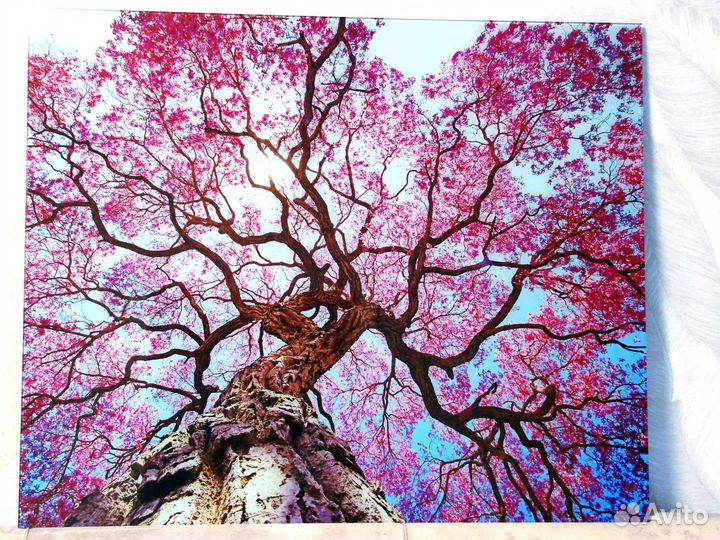 Картина стекло