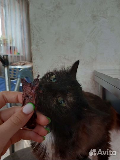 Легкое говяжье сушеное