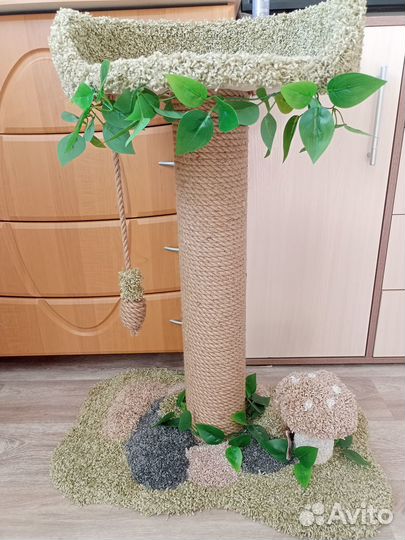 Когтеточка