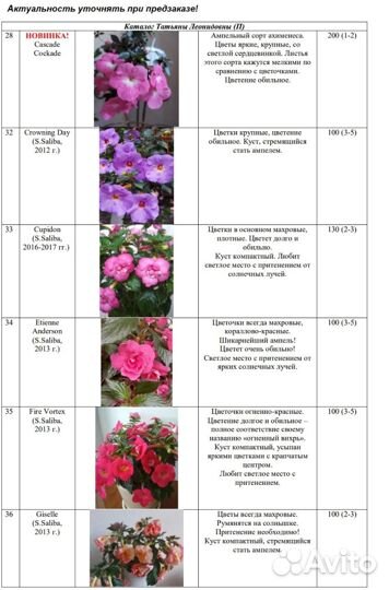 Ахименесы 87 сортов