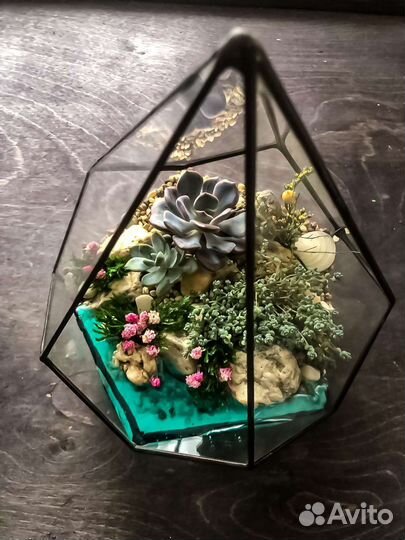 Флорариум. Подарок