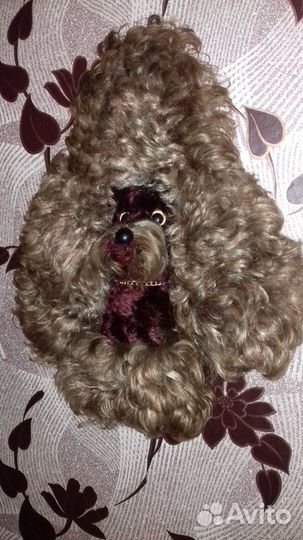 Пудель винтаж СССР