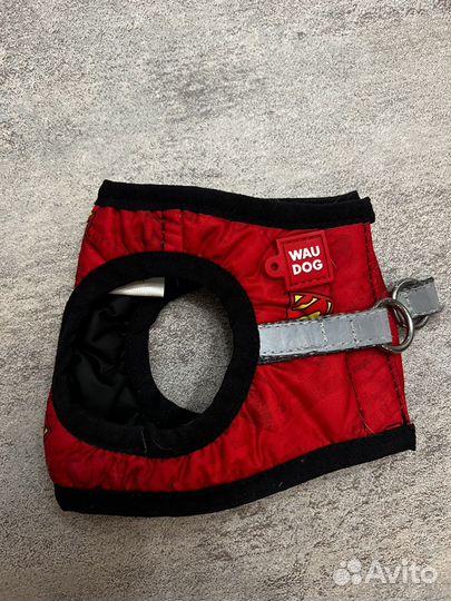 Шлейка WauDog