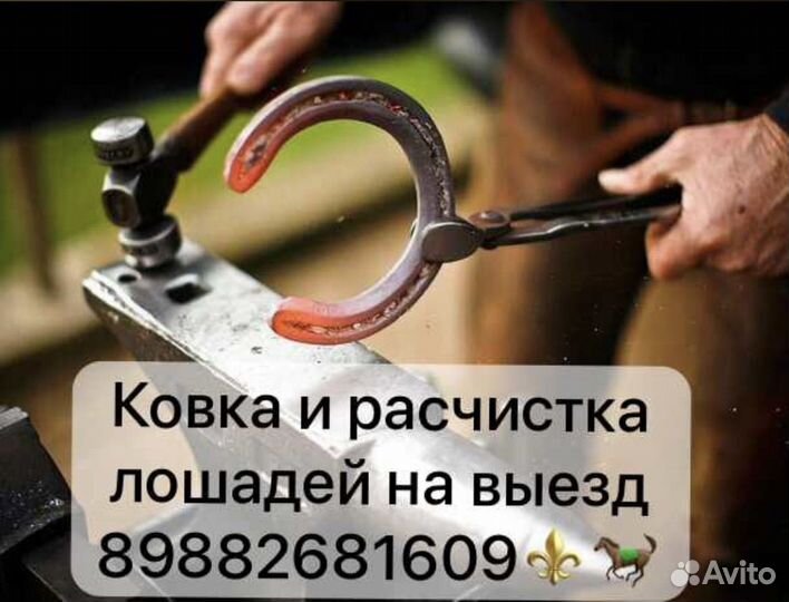 Ковка чистка копыт