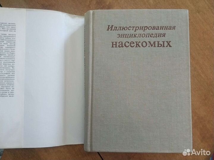 Иллюстрированная энциклопедия насекомых