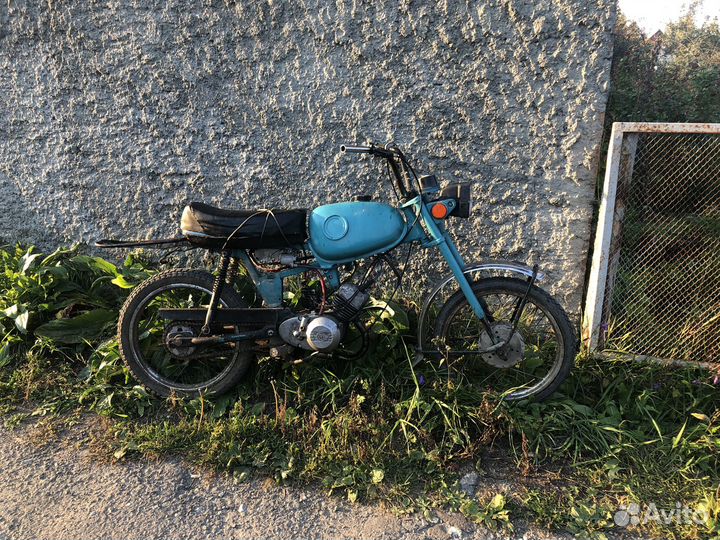 Карпаты 2