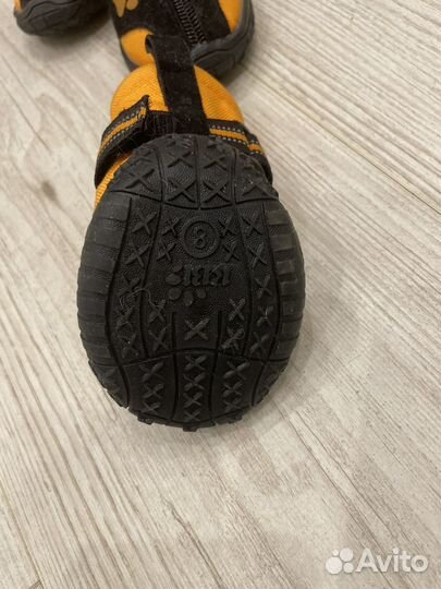 Ботинки для собак