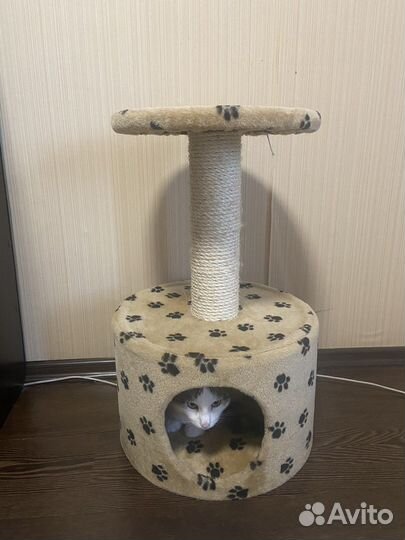 Домик для кошки с когтеточкой