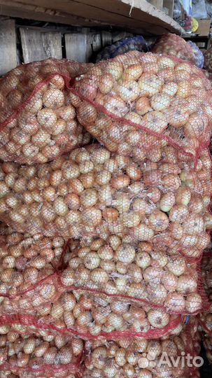 Лук Штутгарт