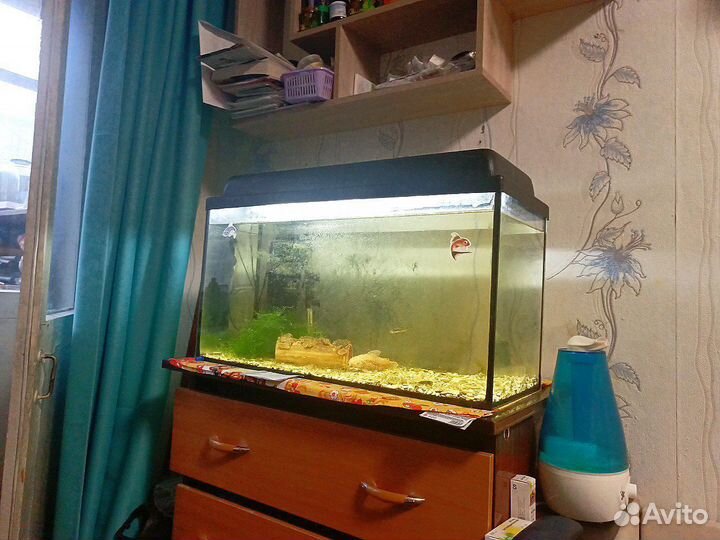 Аквариум со всем содержимым