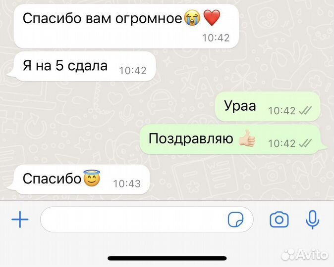 Репетитор по русскому языку и литературе огэ егэ