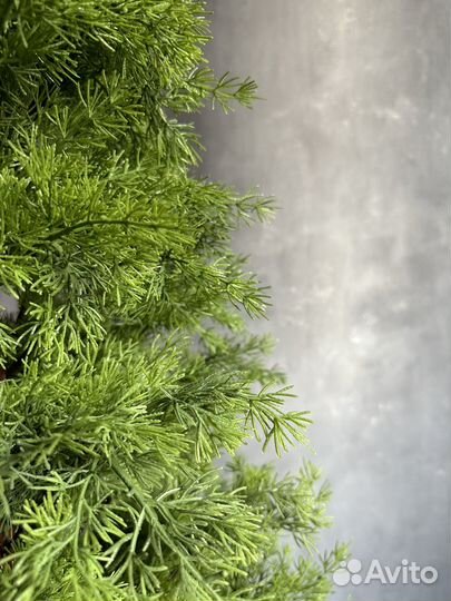 Искусственная туя