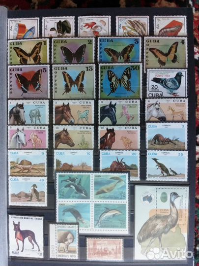 Чистые марки 