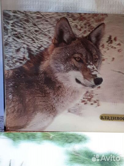 Объёмные магнитные открытки, н/ тарелка, панно